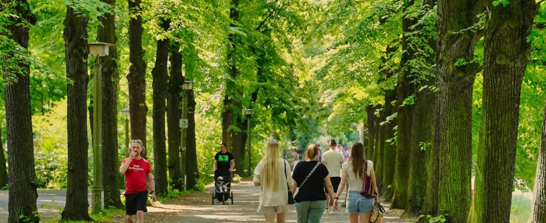 Check Out The Top Three Skechers Styles For Everyone