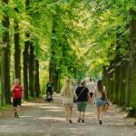 People walking on a tree-lined path in a park.