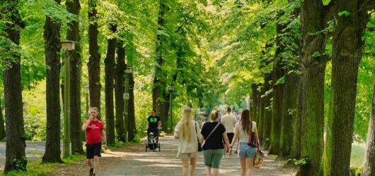 Check Out The Top Three Skechers Styles For Everyone